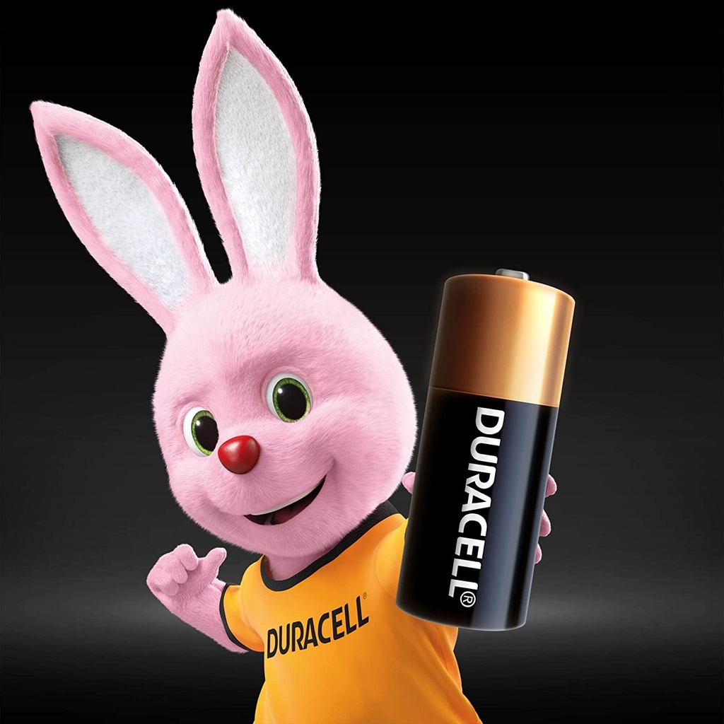Duracell batteria specialistica alcalina 1.5V 2pz MN9100