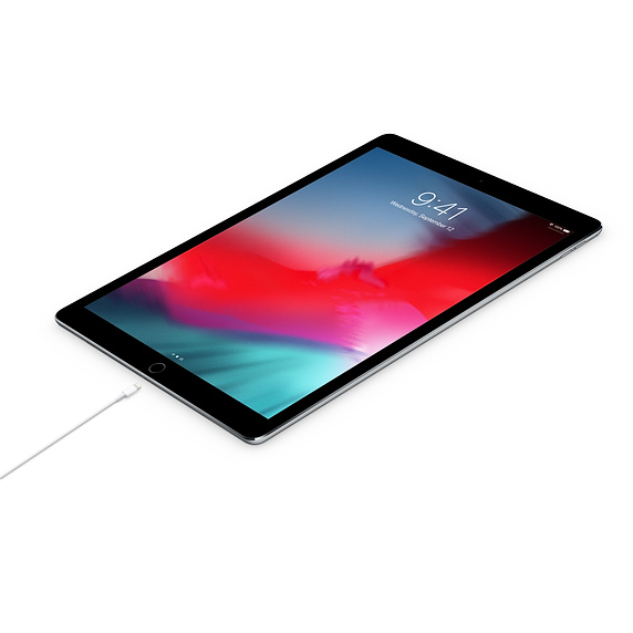 Cavo dati Lightning a Type-C Apple A1702 MKQ42ZM/A 2mt