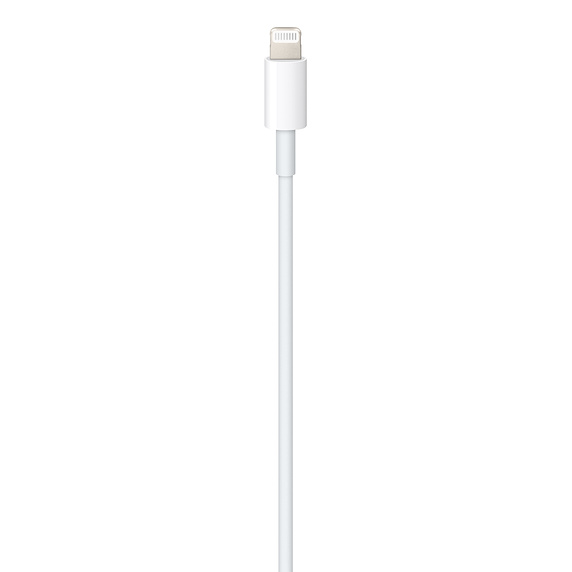 Cavo dati Lightning a Type-C Apple A1702 MKQ42ZM/A 2mt