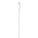 Cavo dati Lightning a Type-C Apple A1702 MKQ42ZM/A 2mt