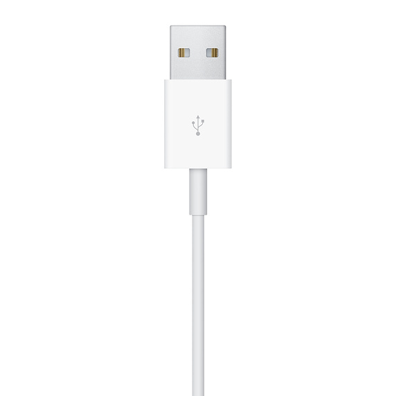 Cavo magnetico per ricarica Apple Watch A2255 1mt MX2E2ZM/A
