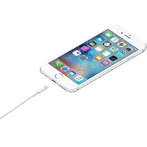 Cavo dati Lightning Apple A1511ME291ZM/A 0.5mt