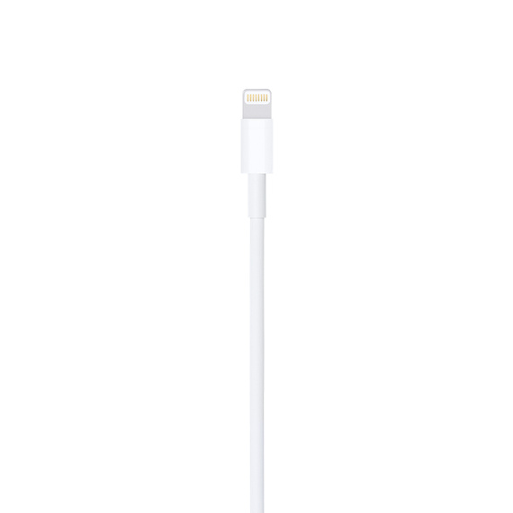 Cavo dati Lightning Apple A1511ME291ZM/A 0.5mt