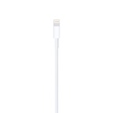 Cavo dati Lightning Apple A1511ME291ZM/A 0.5mt