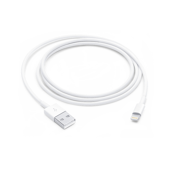 Cavo dati Lightning Apple A1480 MXLY2ZM/A MD818ZM/A 1mt