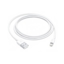 Cavo dati Lightning Apple A1480 MXLY2ZM/A MD818ZM/A 1mt