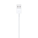 Cavo dati Lightning Apple A1480 MXLY2ZM/A MD818ZM/A 1mt