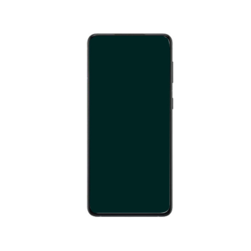 Display Lcd Samsung S21 Plus SM-G996B silver GH82-24555C GH82-24744C