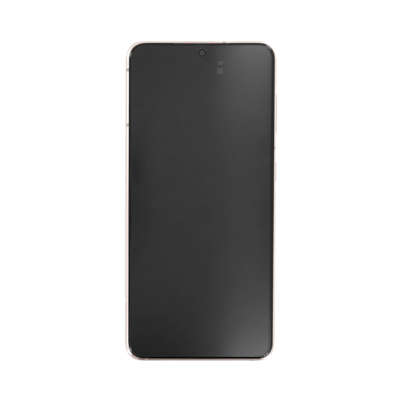Display Lcd Samsung S21 5G SM-G991B violet GH82-24716B