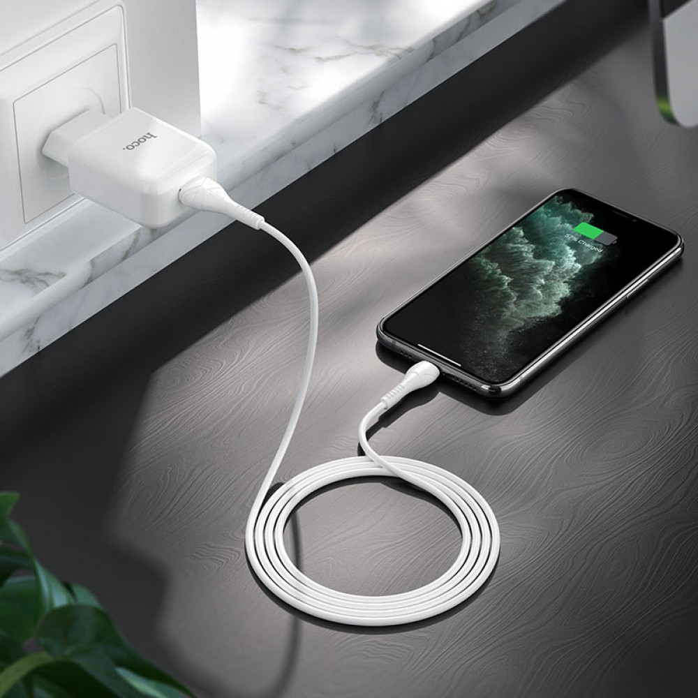 Caricabatteria USB Hoco 2.1A + cavo Lightning white N2.L