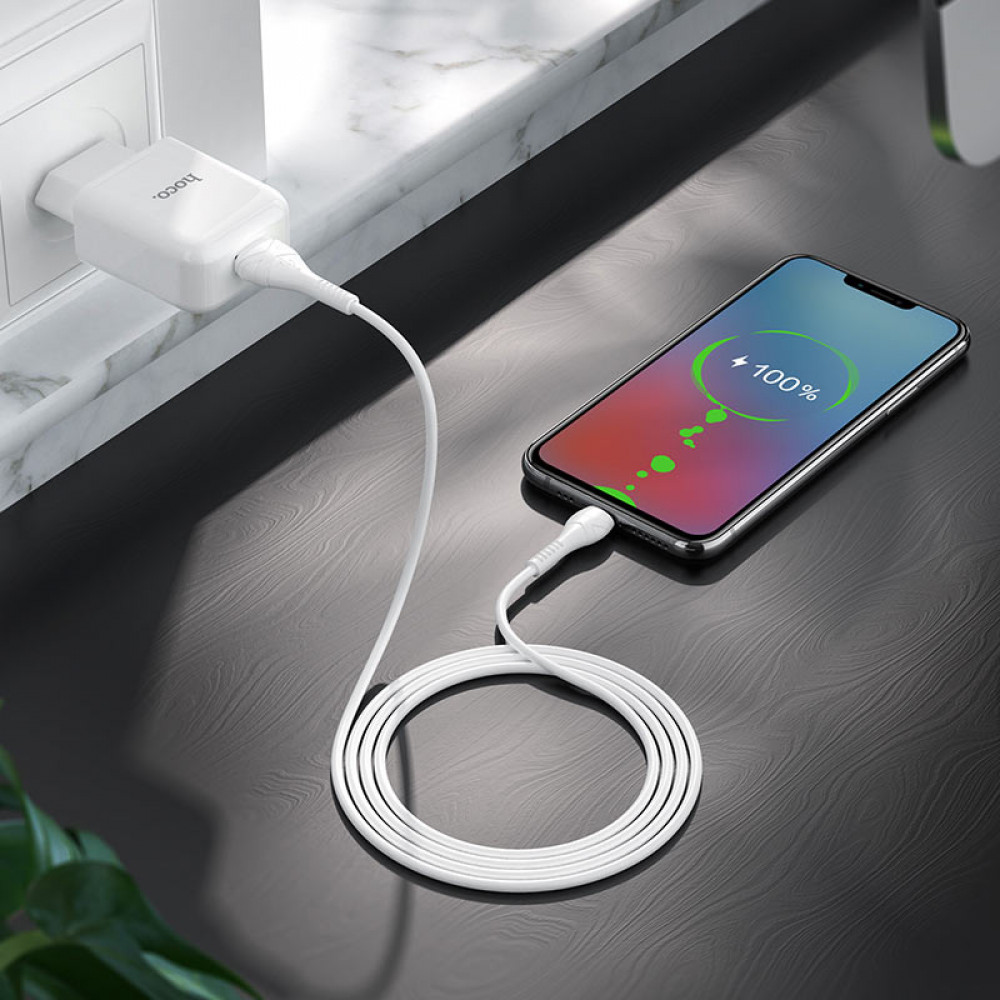 Caricabatteria USB Hoco 2.1A + cavo MicroUsb white N2.M