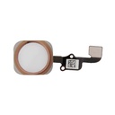 Flat tasto home Apple iPhone 6 Plus gold
