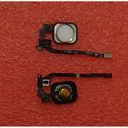 Flat tasto home per iPhone 5S gold