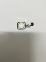 Flat tasto home per iPhone 6S Plus gold