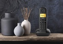 Cordless Gigaset A170 black S30852-H2802-K101