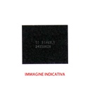IC touch per iPhone 5 0628